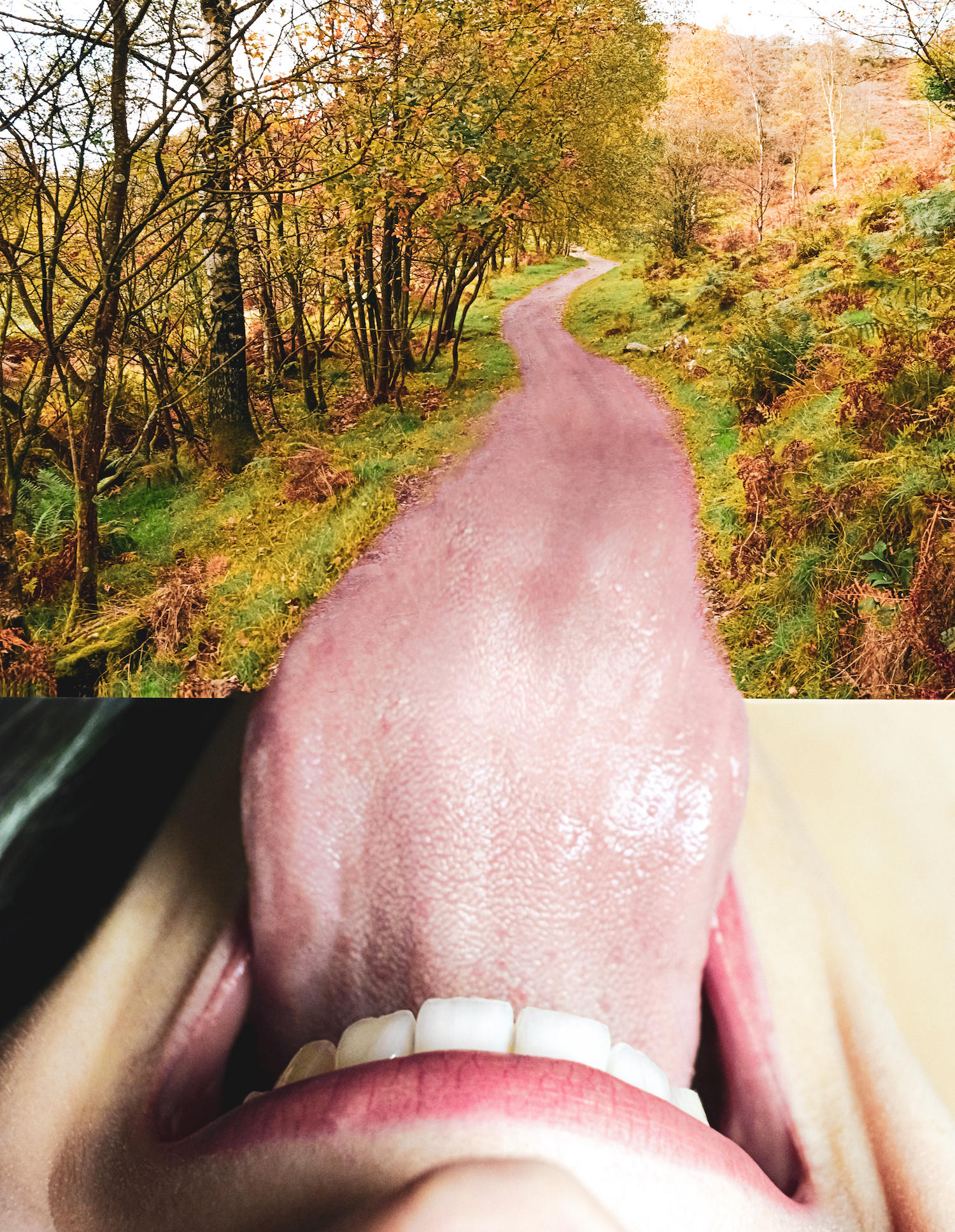 Lick It Till You Make It