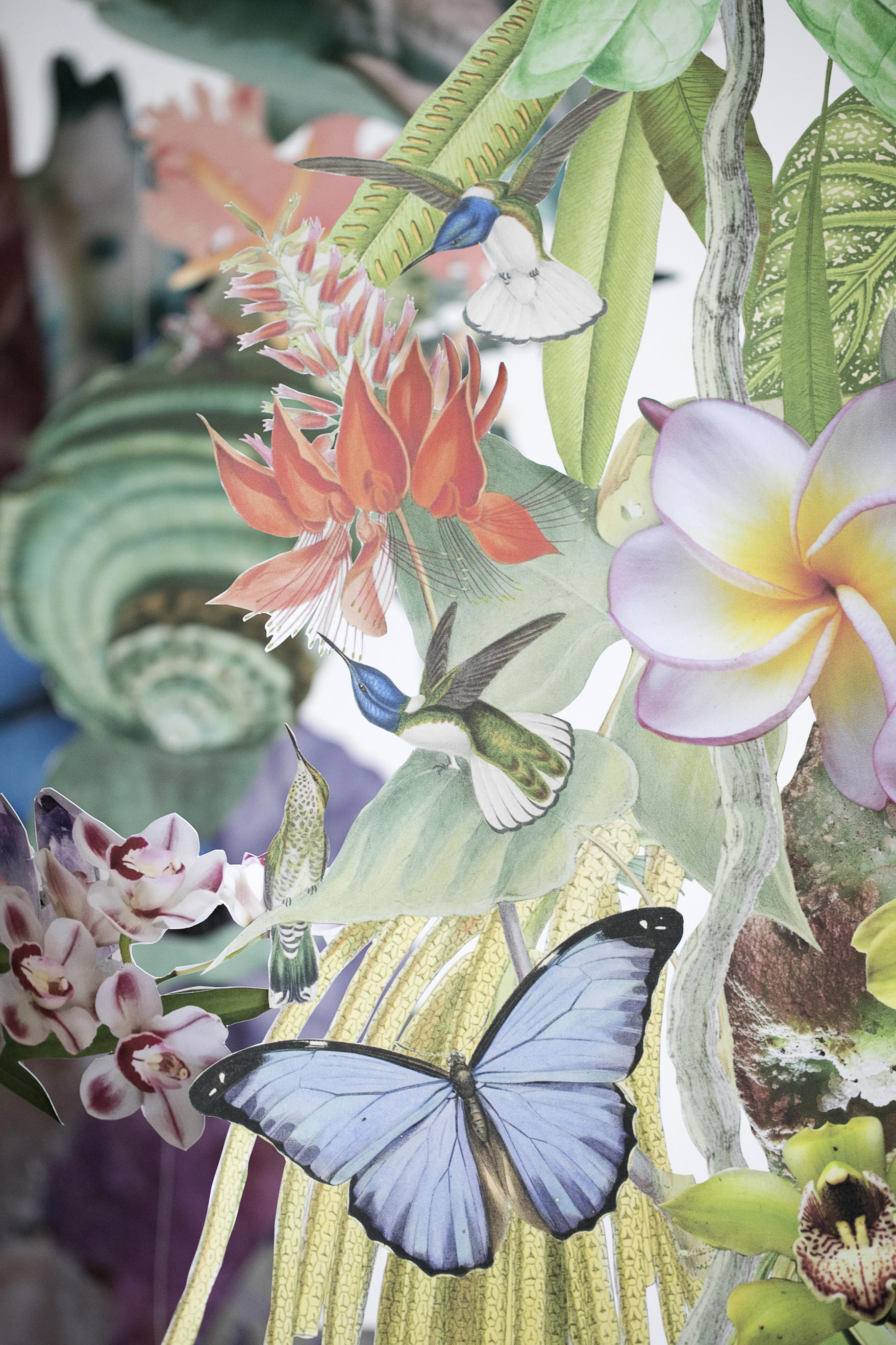 Detail 2